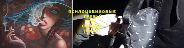 ГАЛЛЮЦИНОГЕННЫЕ ГРИБЫ Костерёво