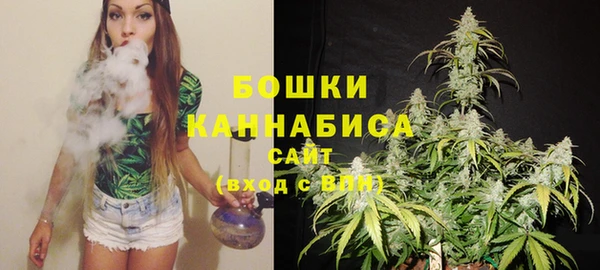 ГАЛЛЮЦИНОГЕННЫЕ ГРИБЫ Костерёво